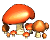 mushrooms_happy_md_clr.gif